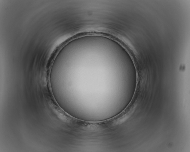 X0000092270974200709281220