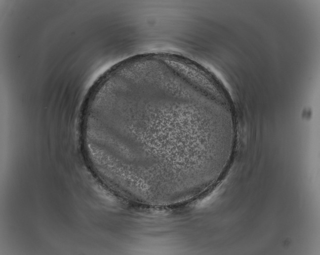 X0000092270975200709281220