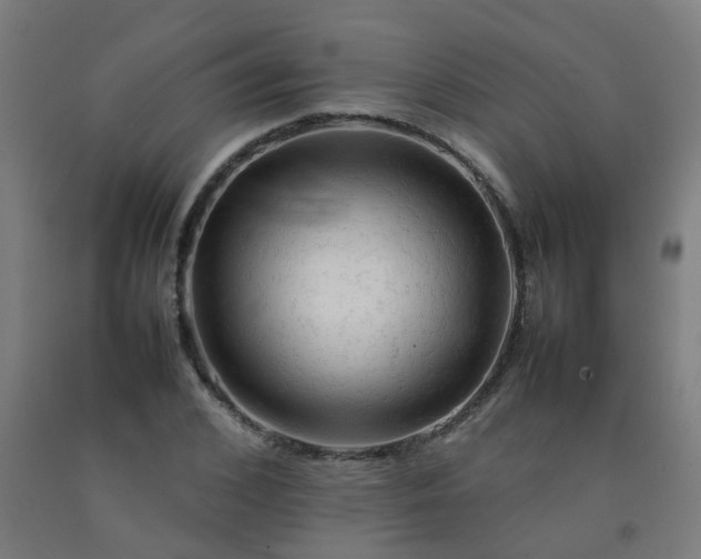 X0000092270976200709281220