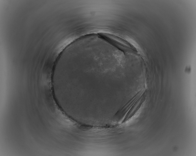 X0000092270977200709281220