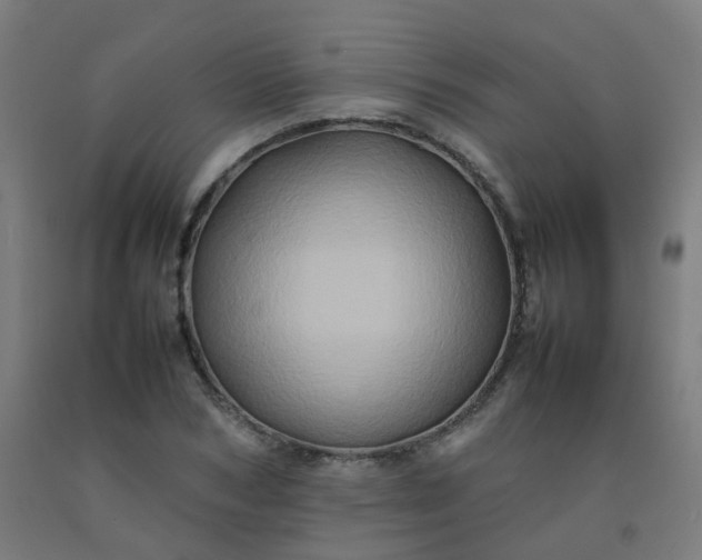 X0000092270978200709281220