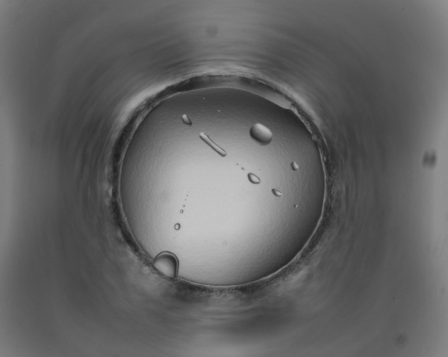 X0000092270979200709281220