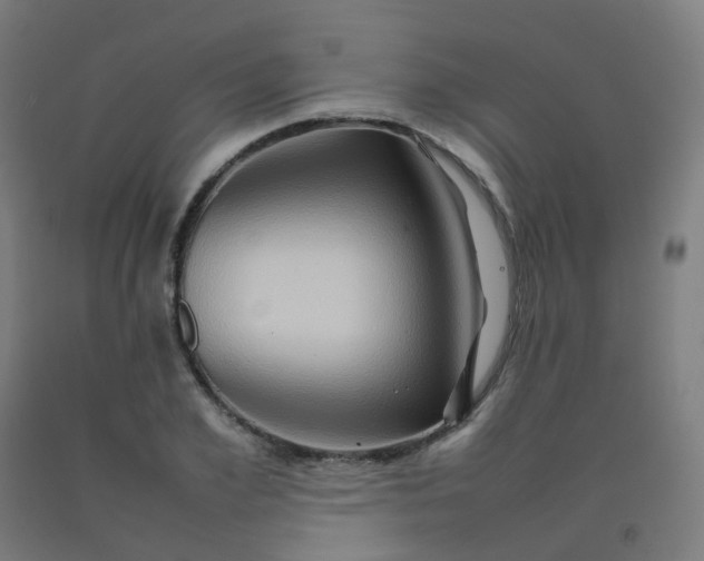 X0000092270981200709281220