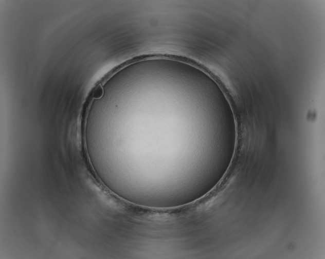X0000092270982200709281220