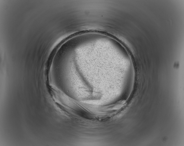 X0000092270983200709281220