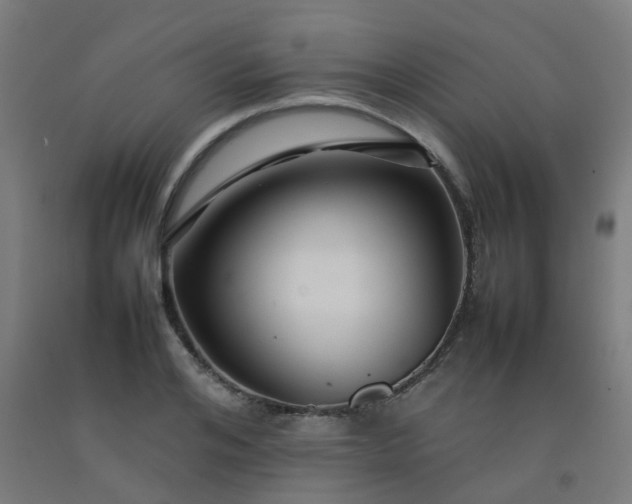 X0000092270984200709281220