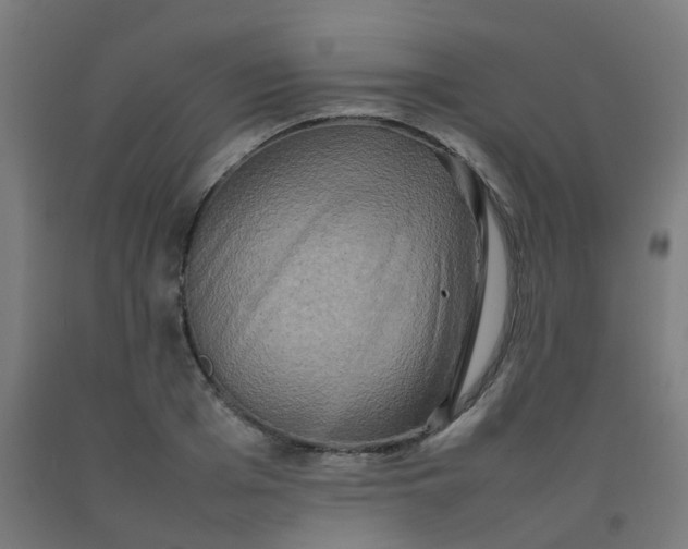 X0000092270985200709281220