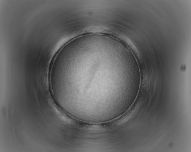 X0000092270986200709281220