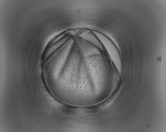 X0000092270987200709281220