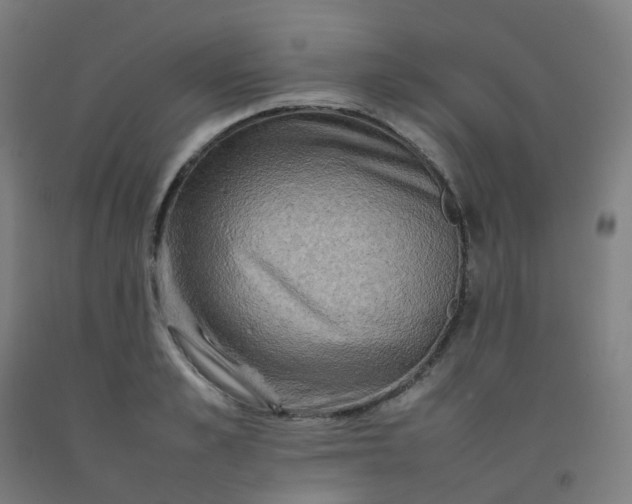 X0000092270989200709281220