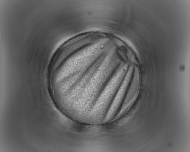 X0000092270991200709281220