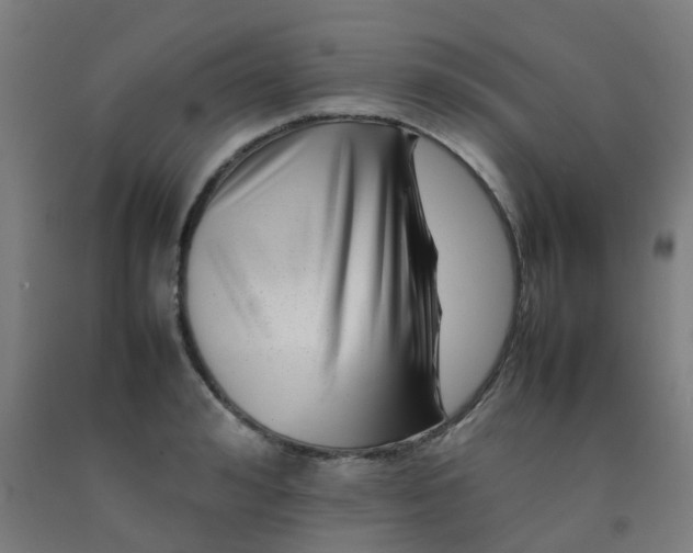 X0000092270992200709281220