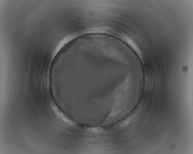 X0000092270994200709281220