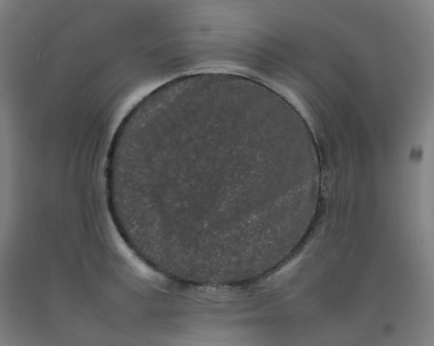 X0000092270995200709281220