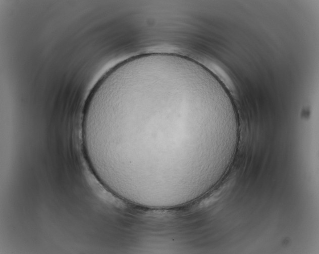 X0000092271000200709281220