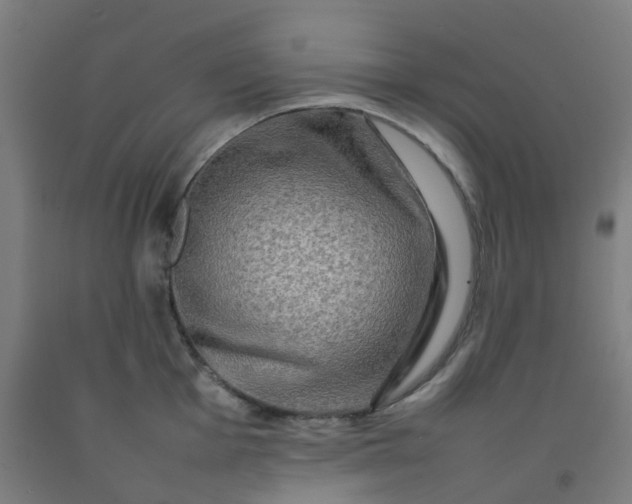 X0000092271001200709281220
