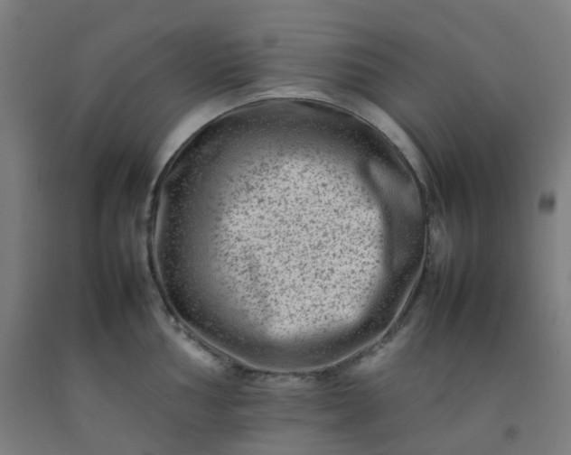 X0000092271002200709281220