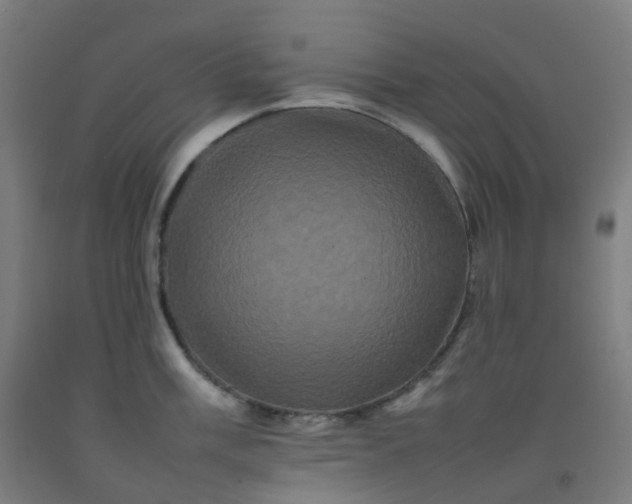 X0000092271003200709281220