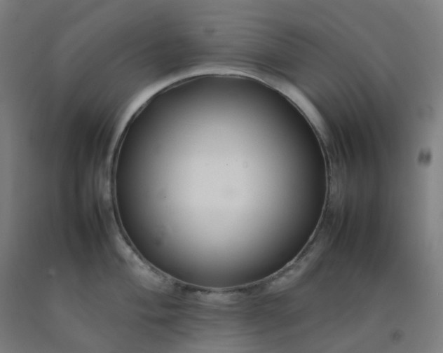 X0000092271004200709281220