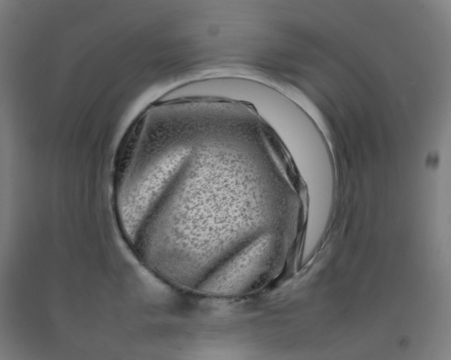 X0000092271005200709281220