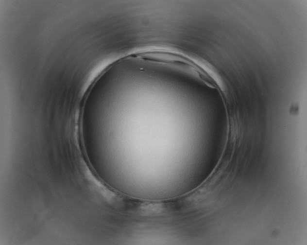 X0000092271006200709281220