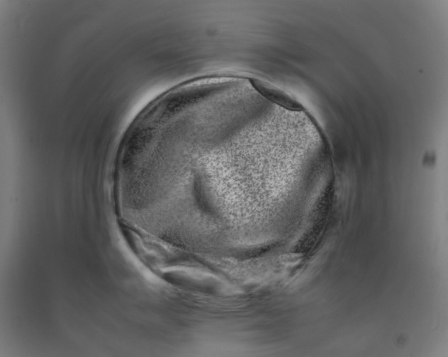 X0000092271007200709281220