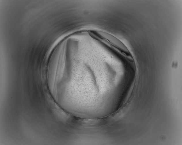 X0000092271008200709281220