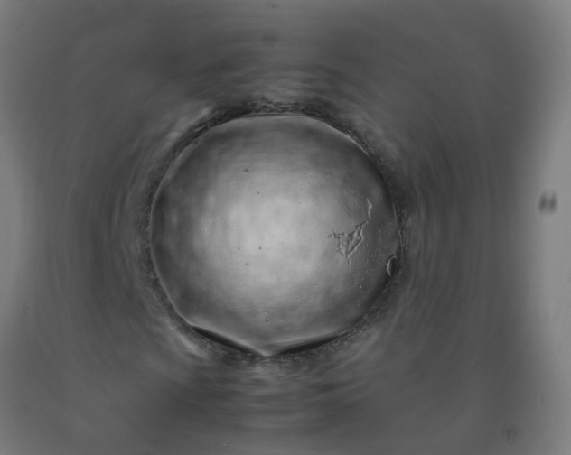 X0000092271009200709281219