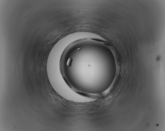 X0000092271010200709281219