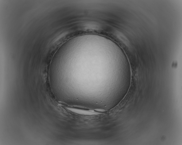 X0000092271015200709281219