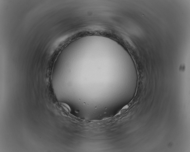 X0000092271016200709281219