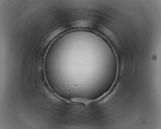 X0000092271017200709281219