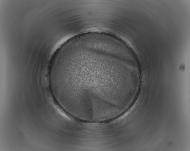X0000092271018200709281219