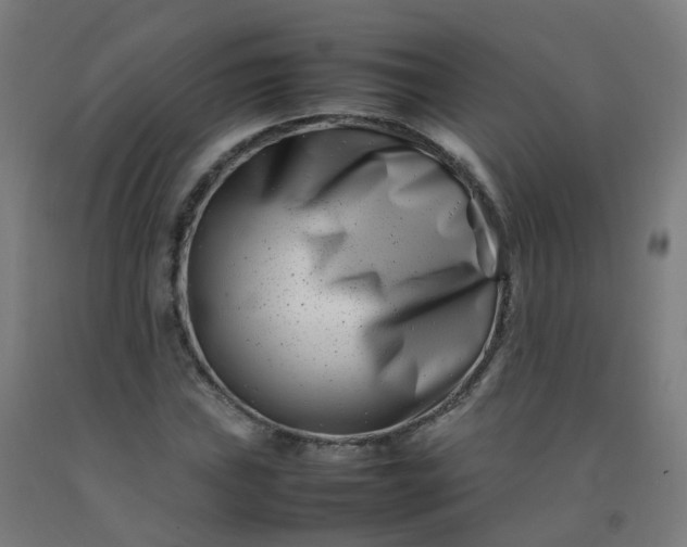 X0000092271019200709281219