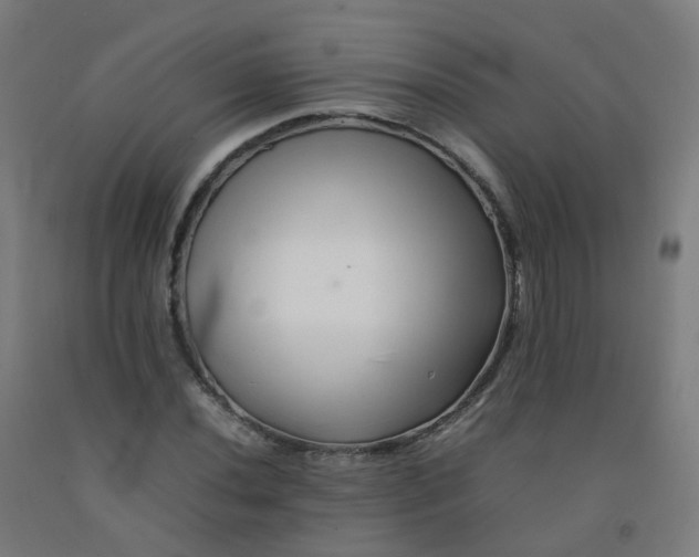 X0000092271020200709281219