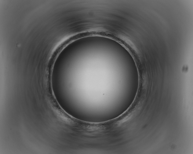 X0000092271021200709281219
