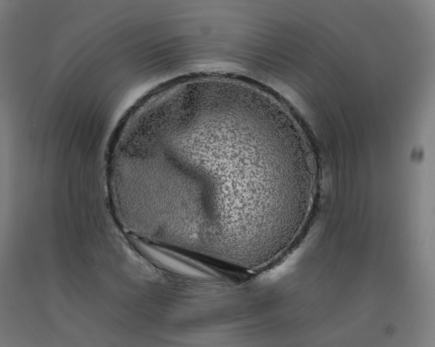 X0000092271022200709281219