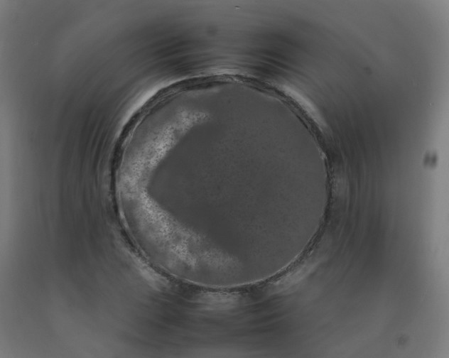 X0000092271023200709281219