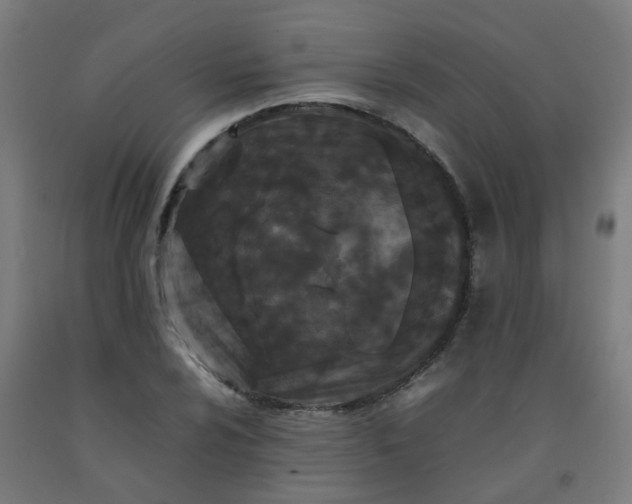 X0000092271024200709281219