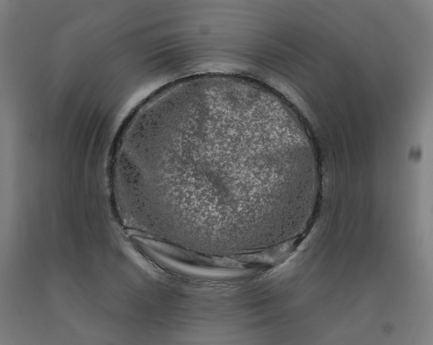X0000092271026200709281219