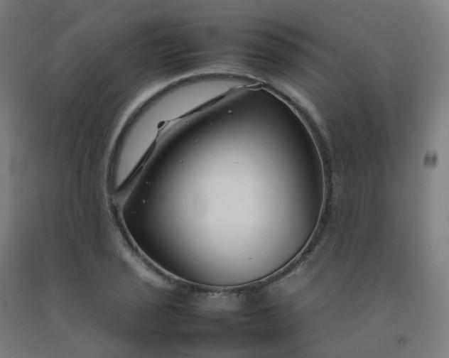 X0000092271029200709281220
