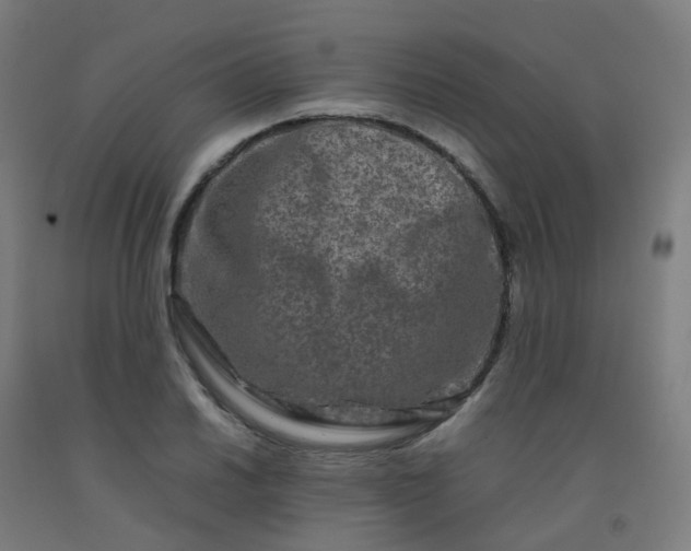 X0000092271030200709281220