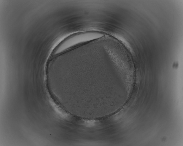 X0000092271031200709281220