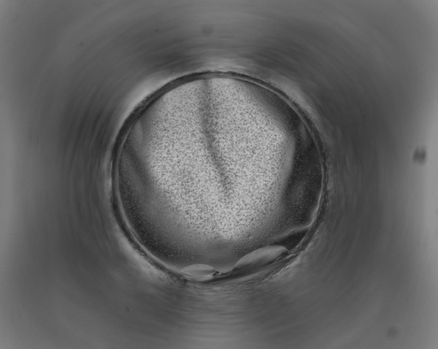 X0000092271032200709281220