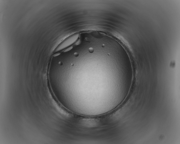 X0000092271033200709281220