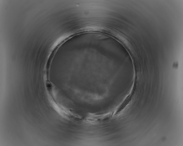 X0000092271034200709281220