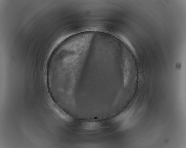 X0000092271035200709281220