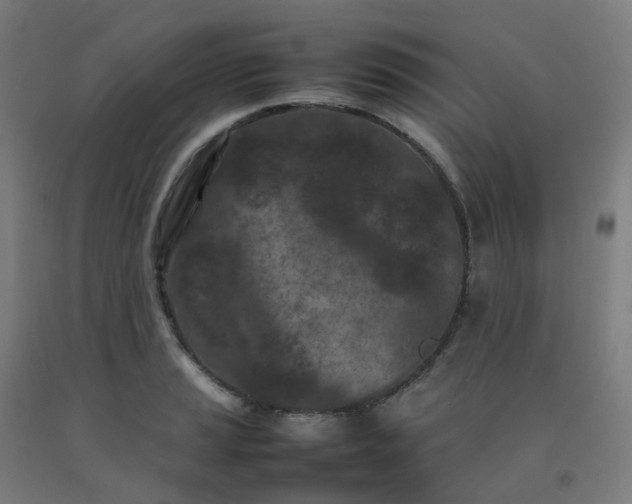 X0000092271037200709281220