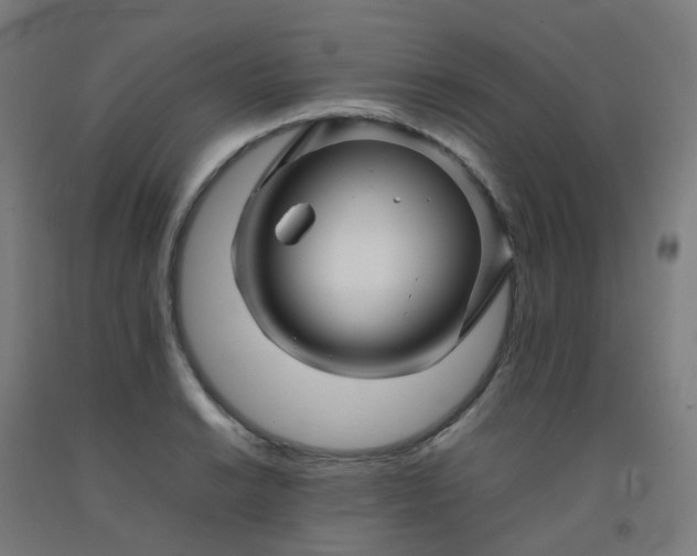 X0000092271038200709281220