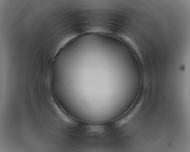 X0000092271041200709281220